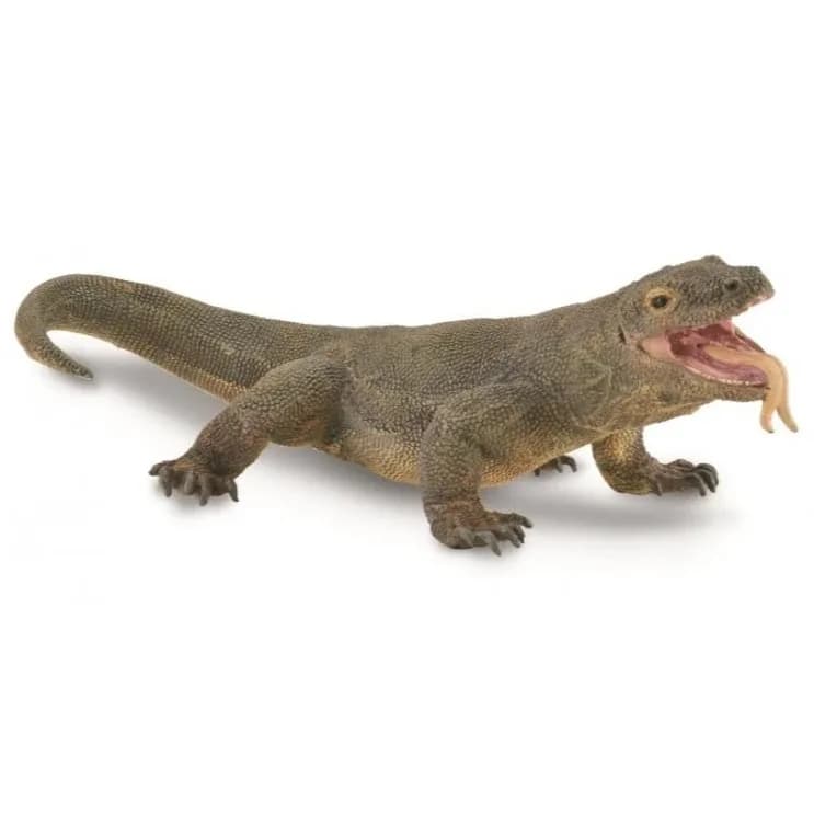 Komodo Dragon
