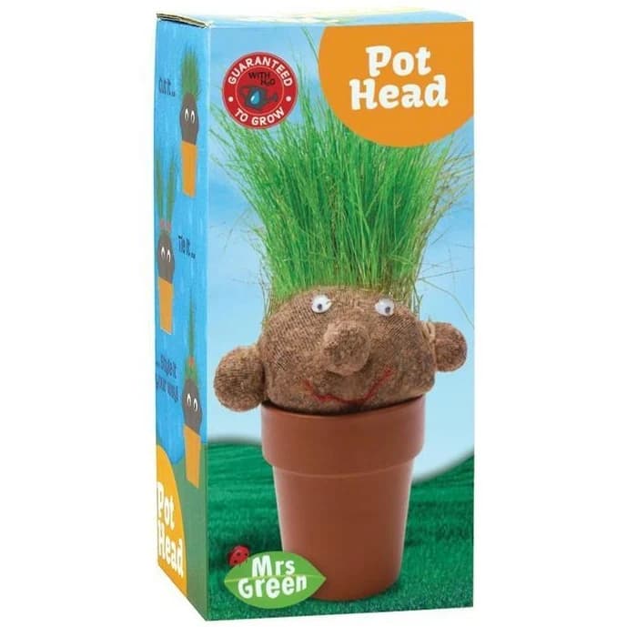Pot Head Grass Growing Kit