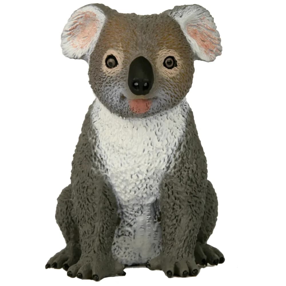 Large Koala