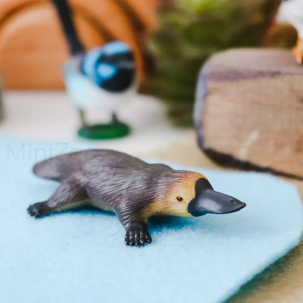Platypus Small