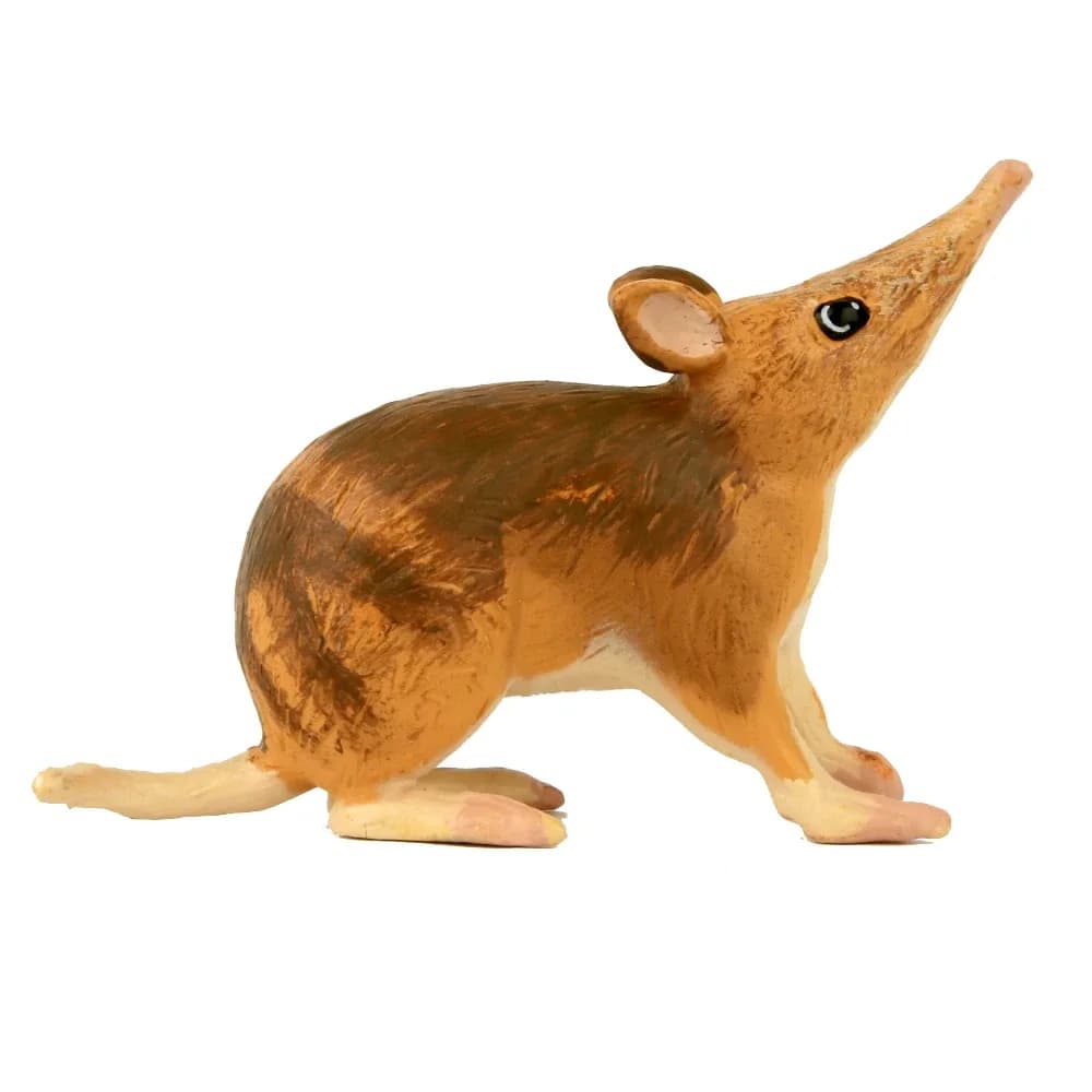 Small Bandicoot