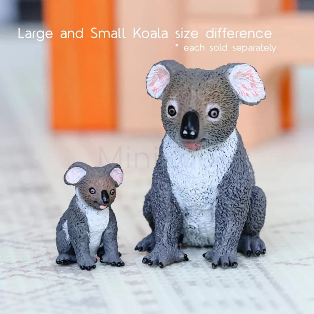 Small Koala