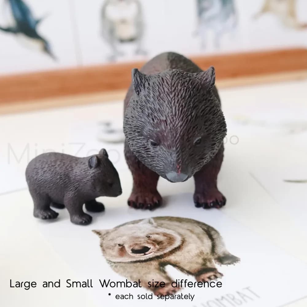 Small Wombat